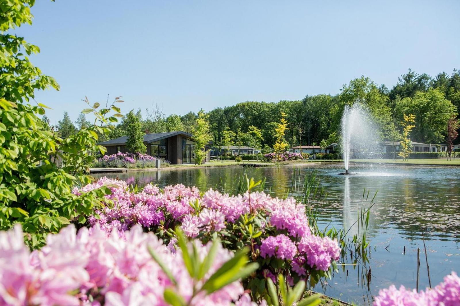 Vakantiepark Molenvelden フェルトホーフェン エクステリア 写真